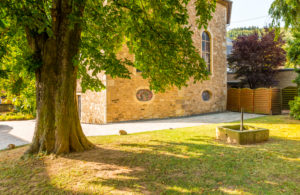 Chestnut tree in the church garden of the Evangelical Parish Church in Simmertal, on the middle Nahe, Bad Kreuznach district, Chestnut tree in the church garden of the Evangelical Parish Church in Simmertal, on the middle Nahe, Bad Kreuznach district,